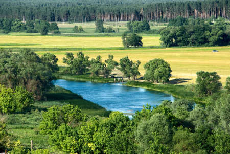 Family fishing on pond in summerの写真素材