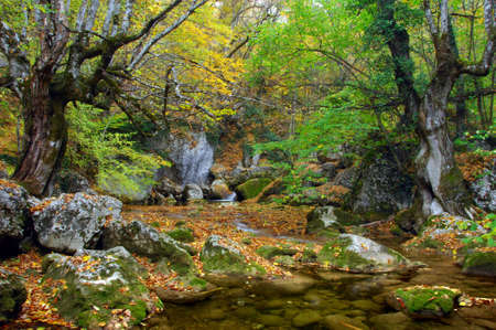 River stream in high mountain in autumnの写真素材