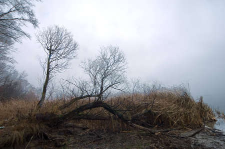Rainy weather on a riverの写真素材