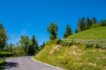 Road between meadows and trees