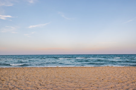 Beach with a view of the seaの写真素材