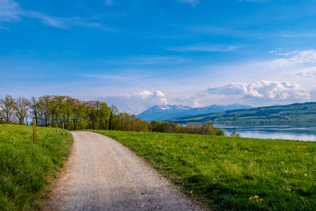 Meadow landscape with a view of the lakeの写真素材