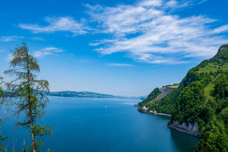 View of the lakeの写真素材