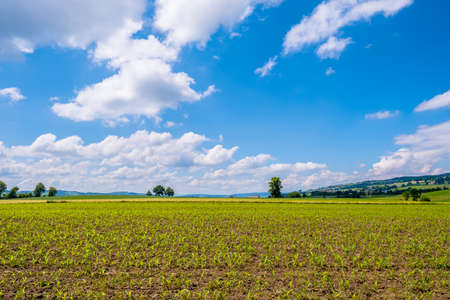 Arable field with blue skyの写真素材