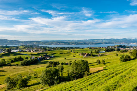 Meadow landscape with a view of Lake Zurich - Wollerau, Switzerlandの写真素材