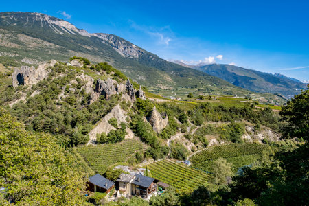Landscape Of Vineyard - Veyras, Switzerlandの写真素材