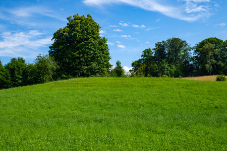 Meadow landscape with a blue sky - Meggen, Switzerlandの写真素材