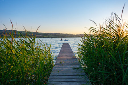 Wooden pier on a lake with reeds at sunset in summer - Sempach, Switzerlandの写真素材
