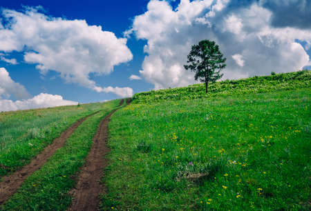 The road to the sky on a green hill. A lone tree on the horizon . The clouded sky covers the sun.