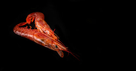 Two large langoustines on a black background. Seafood healthy. Top View with Copy space.の写真素材