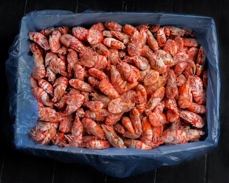 Lots of frozen prawns in a box. Seafood healthy.の写真素材