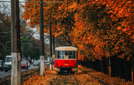 The red tram in the autumn urban landscape. Odessa, Ukraineの写真素材