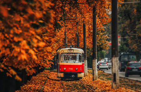 The red tram in the autumn urban landscape. Odessa, Ukraineの写真素材