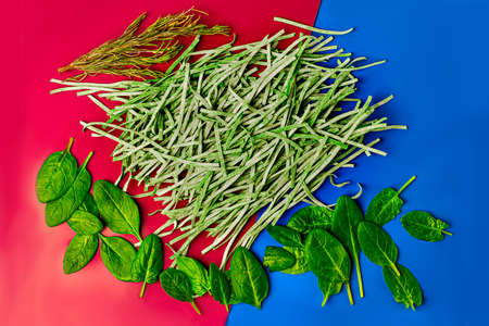 Dry egg noodles with spinach on a colorful backgroundの写真素材