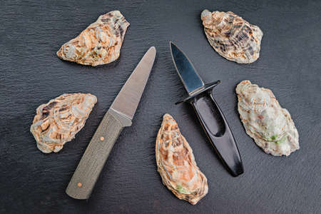 Two oyster knives on a slate slab.の写真素材