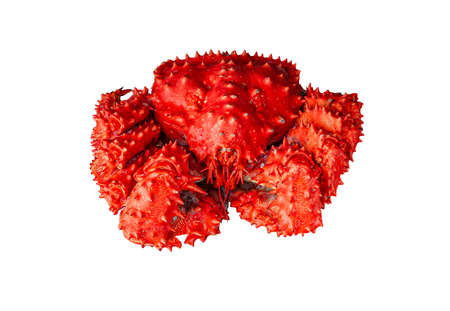 A spiny crab isolated on white backgroundの写真素材