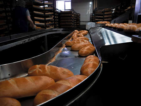 Conveyor belt with freshly baked bread. Production at the bakery.の写真素材