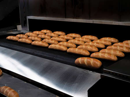 Freshly baked bread comes out of the oven. Production at the bakery. Automated production line bakery.の写真素材