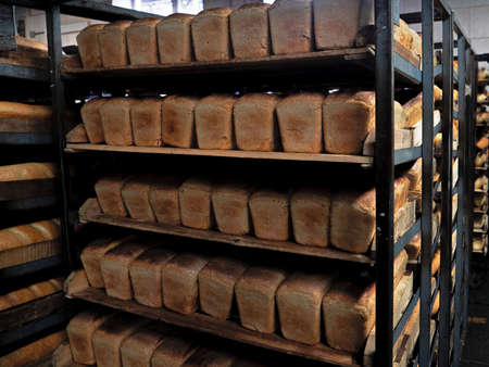 Shelves with fresh bread. Finished bread products to be shipped to storesの写真素材
