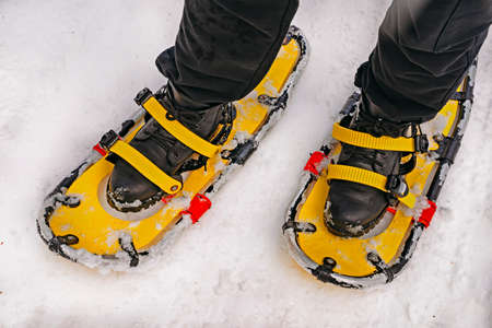 Yellow snowshoes on black boots. Legs and snowshoe closeup.の写真素材