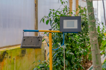 Lighting for plants in the greenhouse. LED plant lights for cultivation and harvesting eco vegetablesの写真素材