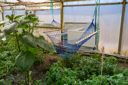 Wicker hammock in the greenhouse. Resting among the plantsの写真素材