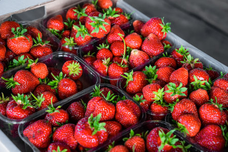 Close up of fresh and ripe summer strawberries. Strawberry in boxes. Many fresh red strawberries after harvest. Ready for export.の写真素材