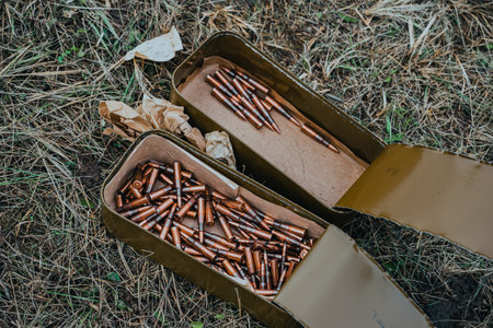 Bullets in a box. Machine gun ammunition close-up. Cartridges for a rifle and a carbine. Military conceptの写真素材