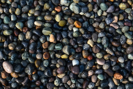 Multi-colored stones on the seashore.の写真素材