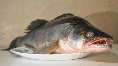 A large whole fish on a platter.