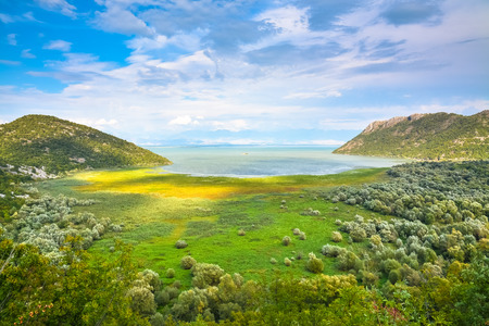 Picturesque lake shore, overgrown with bright grass.の写真素材