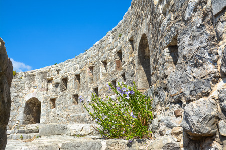 Blooming grass on the background of the medieval wall.の写真素材