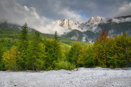 Mountain peaks in the clouds and the forest.の写真素材