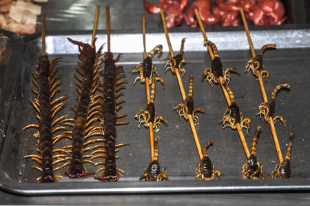 Asian food. Fried centipedes and scorpions on skewers.の写真素材