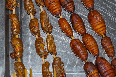 Asian food. Large larvae fried on skewers.の写真素材