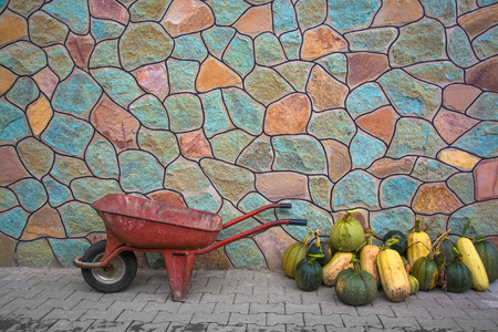 Old wheelbarrow and zucchini harvest in the stone wall background.の写真素材