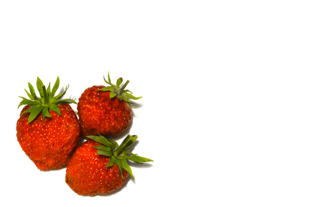 Three ripe strawberries isolated on a white background.の写真素材