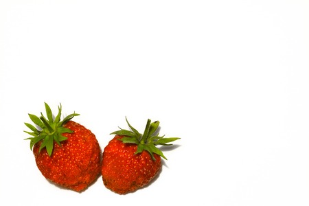 Two large strawberries isolated on a white background.の写真素材