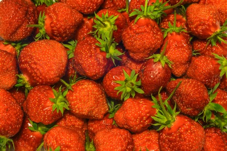 Lot of ripe red strawberries for background.の写真素材