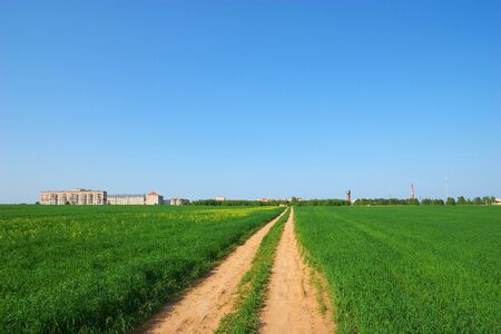 Road through green fieldの写真素材