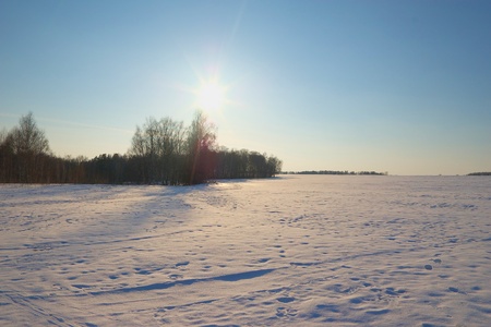 Snow field  の写真素材