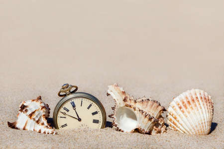 exotic seashells and old clock in the sandの写真素材