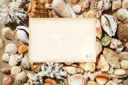a sheet of paper on the background of exotic shells