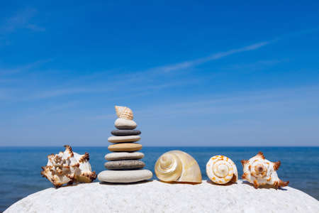 Exotic shells on the sea and blue sky background. Space for textの写真素材