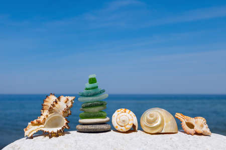 Exotic shells on the sea and blue sky background. Space for textの写真素材