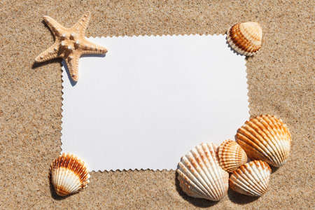 Empty white card with exotic seashells is lying on a sea sand summer sunny background. copy space.の写真素材