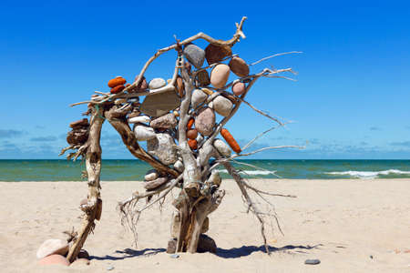 composition of the stones and dry tree on background of the sea. Rock zen on the beachの写真素材