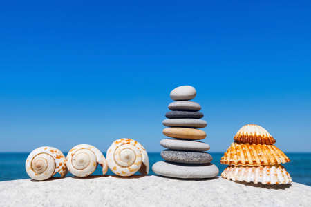 Exotic shells on the sea and blue sky background. Space for textの写真素材