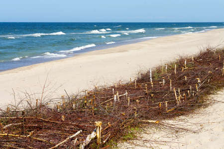fascine cage made of tree branches to keep the sand on the beach. Protective structuresの写真素材