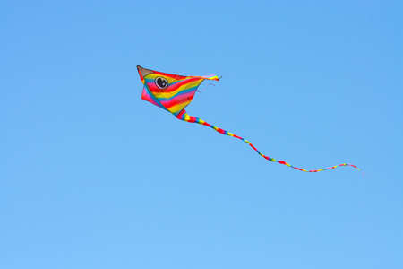 Bright, colorful kite on the background of the summer skyの写真素材